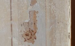 024 - mehrere renovationen